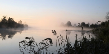 At dawn / ***