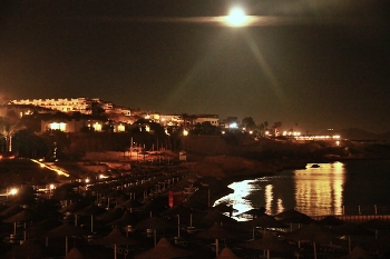 Night landscape / ***