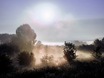 Light / ***