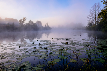 Morning on the lake. / ***