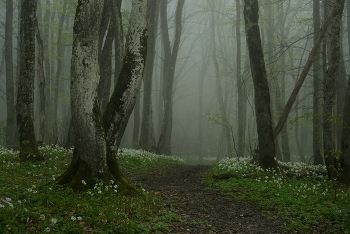 Misty / ***