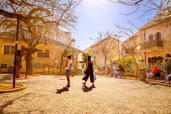 place in the sun / ....