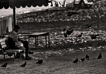 ***Love and pigeons / ***