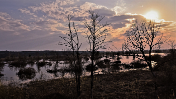 Evening Landscape. / ***