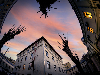 Moscow Court / ***