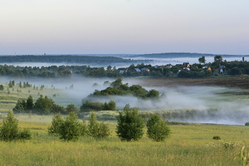 Foggy morning / ***