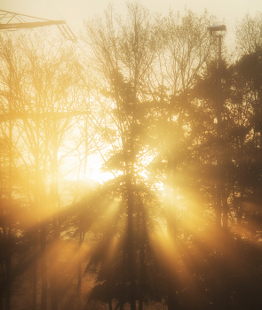 Light / ***