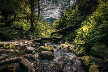 Small Bridge at Mirveti Waterfall / ***