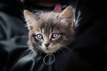 &nbsp; / https://www.youtube.com/watch?v=7_3ooe3rynY