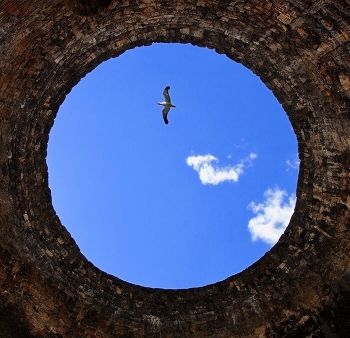 Flight / ***