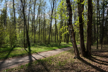 Spring in the park / ***