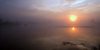 Dawn on the lake. / ***