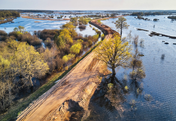 Road through flood / ***