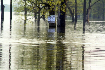 &nbsp; / &quot; &quot; &quot;