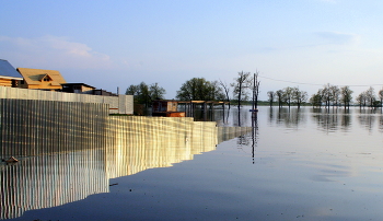 &nbsp; / &quot; &quot; &quot;