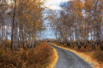 Self-Portrait / https://www.youtube.com/watch?v=J2aqvKY6zLc&amp;t=260s