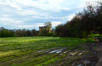 grass near the house / ...