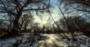 Spring. / ***