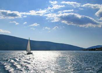 Fresh Wind ... / ***