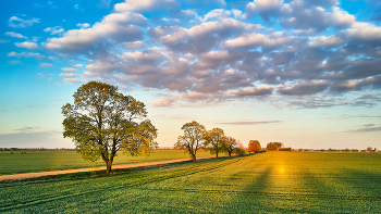 April Road / https://max-helloween.livejournal.com/223534.html