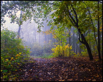 Autumn sketches / ***