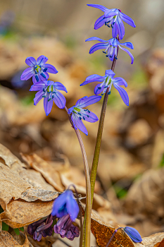 Overcast in the morning / ***