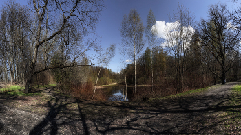 Shadows at Noon ... / ***