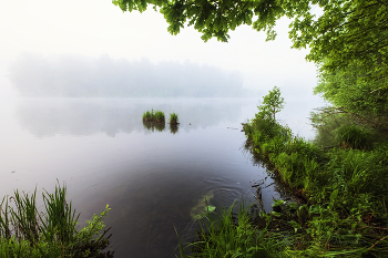 On the morning dawn / ***