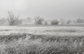 Nebulosity / ***