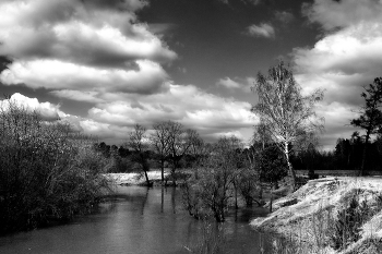 Spring. / ***