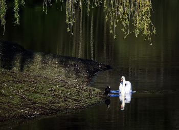 Idyll / ***