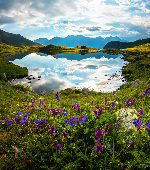 Mirror Morning / ***