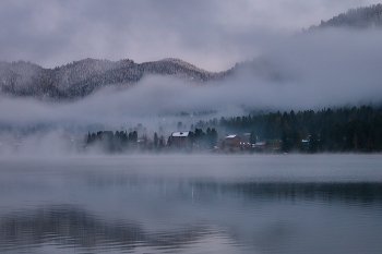 Foggy morning / ***