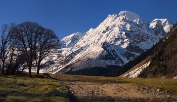 Spring in the mountains / ***