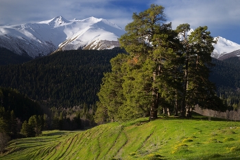 Sunset in the mountains / ***