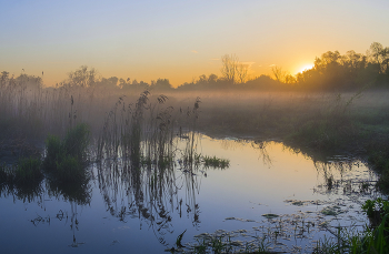 At dawn / ***