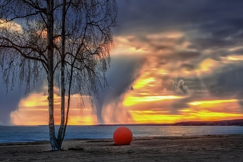 Evening beach / ***