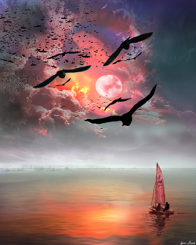 May sunset / ***