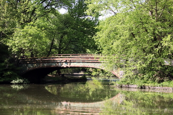 In the city park / ***