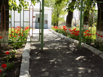 Spring / ***