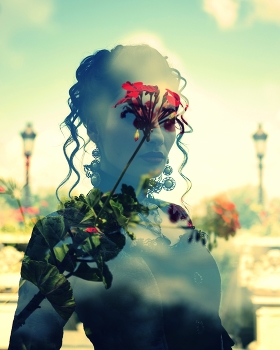 &nbsp; / double exposure in camera