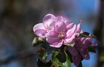 &nbsp; / 06-05-2023.