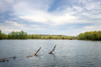 Lake ... / ***