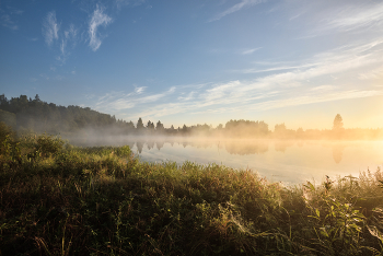 Foggy morning / ***
