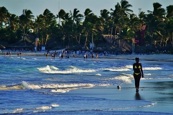Remembering summer / ***