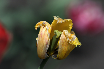 Spring. / 06-05-2023.