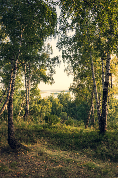 August evening / ***