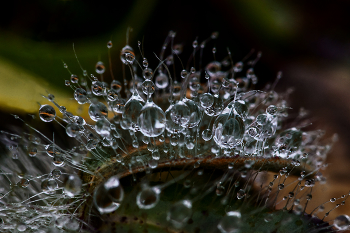 Droplets ... / ***