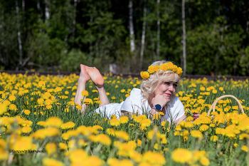 Sunflowers / ***