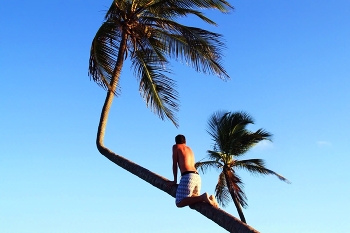 Remembering summer / ***